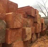 Buy Timber Logs From Cameroon Online: Sustainable Sourcing, Global Shipping