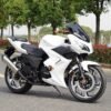 Horizon S-Style Motorcycle – 250cc/400cc Fuel-Powered Sports Bike - Image 2