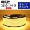 220V High-Brightness LED Strip Lights - 2835/3030 Chips | 144-320 LEDs/m | IP65 Waterproof (3-Year Warranty) - Image 2