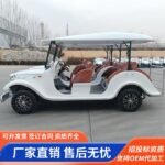 8-11 Seater Electric Golf Cart | Africa Tourism Shuttle