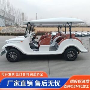 8-11 Seater Electric Golf Cart | Africa Tourism Shuttle
