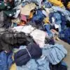 Wholesale Packed Clothing Lot - Jeans, Apparel for Export (Container Loading) - Image 4